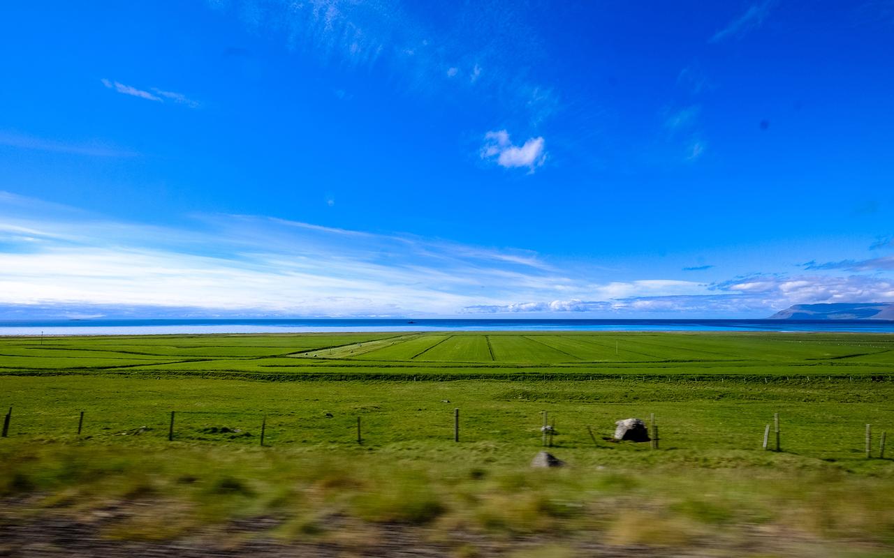 幼儿园《观察儿童》读书分享活动方案