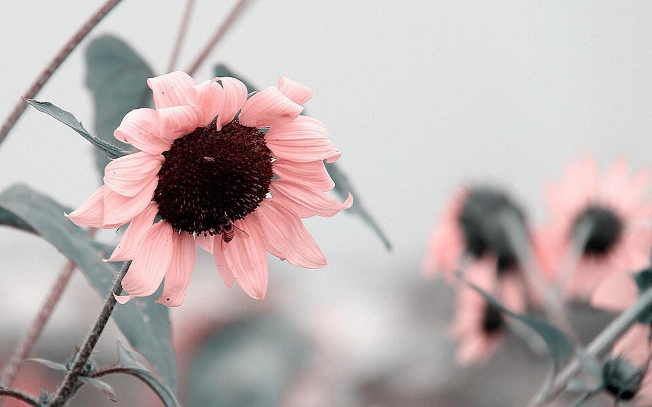 施工管理个人工作总结(71篇)