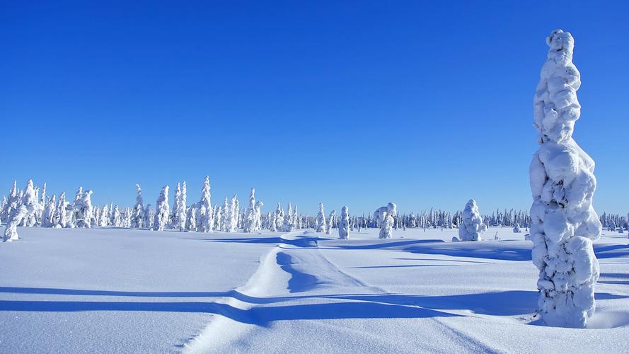 大学第一学期自我总结(3篇)