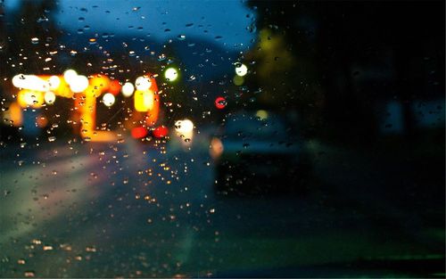 海参知识精华版