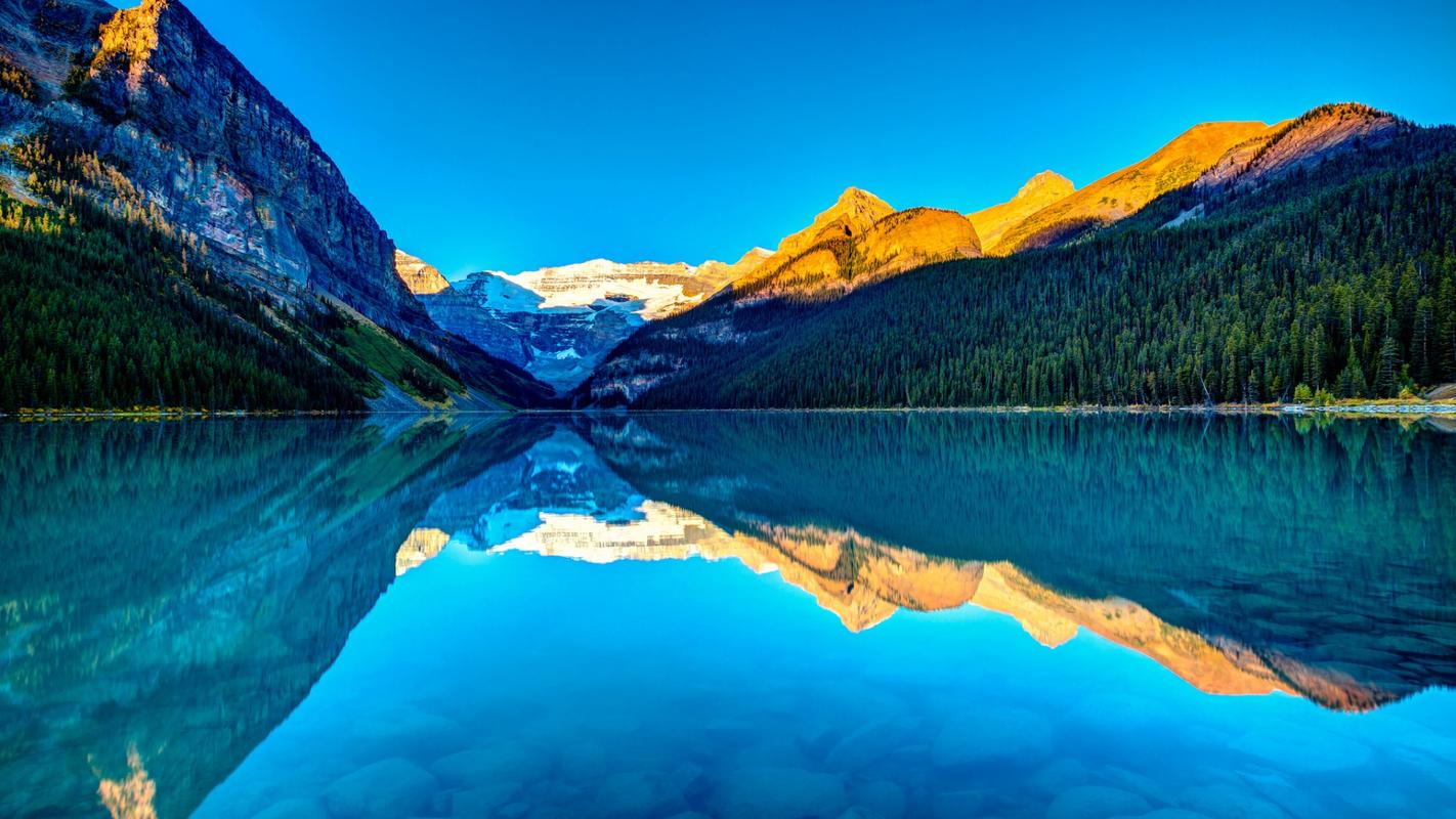 多元文化的冲突与融合_陈平