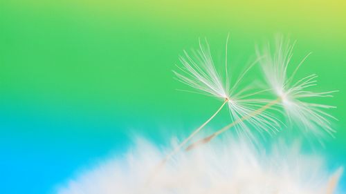 汉字系列讲座——汉字造字法—“六书”之“假借”